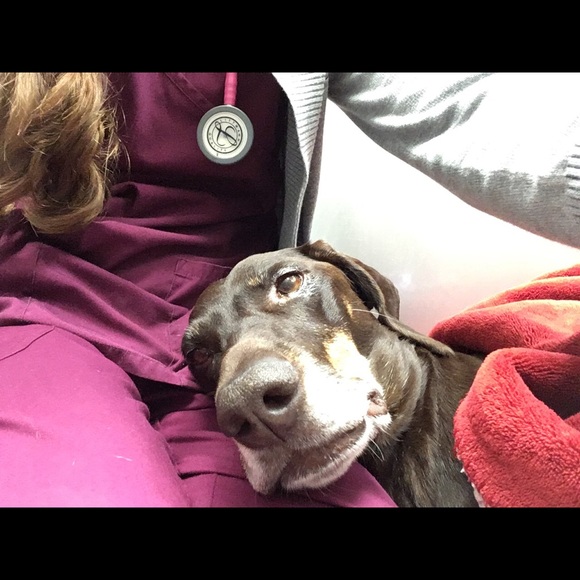 Meet your Posher, Rebecca - Picture 2 of 7